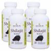 Ayurvedic Life Shilaajeet Capsules (120 Capsules Pack of 4) view 1