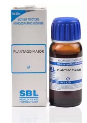 SBL Plantago Major Mother Tincture Q- 30 ml
