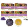 TEACURRY Lavander Tea (4 Month Pack, 120Tea Bags) - Helps in Relaxation and improves sleep time view 1