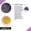 TEACURRY Lavander Tea (4 Month Pack, 120Tea Bags) - Helps in Relaxation and improves sleep time view 3