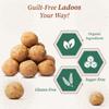 Oganic Gyaan Kodo Millet Ladoo 500g view 3
