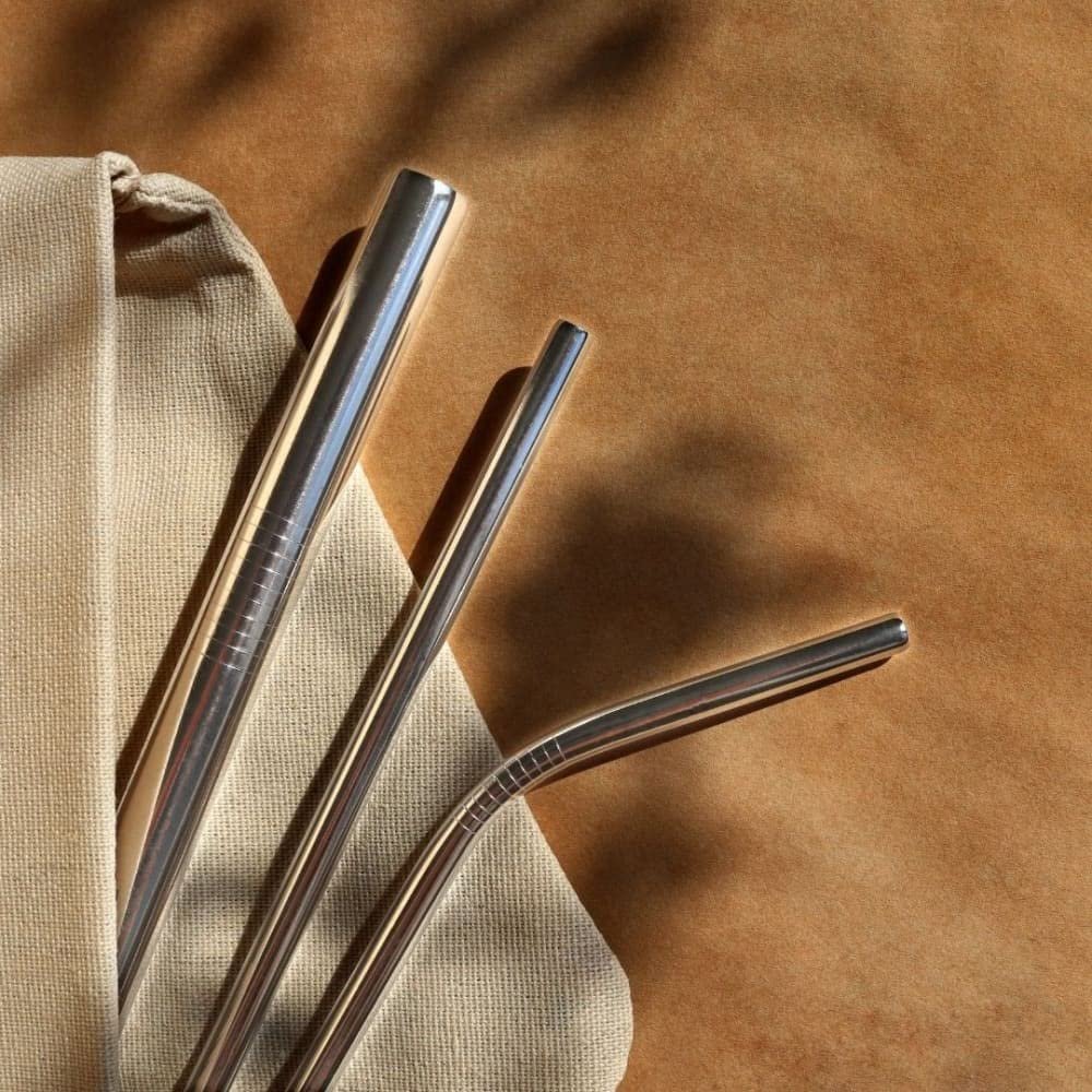 ONEarth Stainless Steel Straws with Cleaner | 1 Straight + 1 Bent Reusable Metal Straws | BPA-Free Steel Drinking Straw Set with Brush for Smoothies & Juices