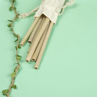 ONEarth Bamboo Straws [Pack of 2 Straw with one Cleaner],Biodegradable Reusable Straw for Kids and Adults, Handcrafted Natural Alternative to Plastic,Non-Toxic and No Inks Dyes Straws