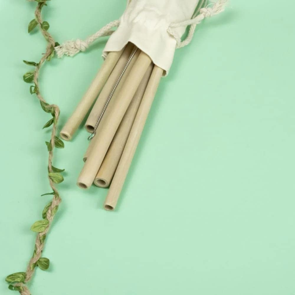 ONEarth Bamboo Straws [Pack of 2 Straw with one Cleaner],Biodegradable Reusable Straw for Kids and Adults, Handcrafted Natural Alternative to Plastic,Non-Toxic and No Inks Dyes Straws