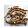 Dirghaanshi Punarnava Jadd,Sathi Jadd,Punarnava,Boerhavia Diffusa,Punarnava Root,Punarva,Spreading Hogweed,Satodi Jadd,Thazhuthama,Punarnawa Root (Pack of 1000 GM) view 2