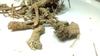 Dirghaanshi Punarnava Jadd,Sathi Jadd,Punarnava,Boerhavia Diffusa,Punarnava Root,Punarva,Spreading Hogweed,Satodi Jadd,Thazhuthama,Punarnawa Root (Pack of 1000 GM) view 4