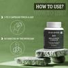BIOAYURVEDA Bio Breathezy Capsule for Deeper Breathing and Respiratory Health, 40 Capsules (Pack of 2) view 4