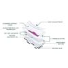 Reyo Premium Ultra Thin Anion Sanitary Napkin Economy Extra-Large (330mm-12pads) Pack of 1 | 10 Layers Of Protection | Fragrance Free Pads view 3