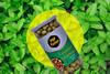 Popfusion Gourmet Roasted & Flavoured Makhana- Indi Pudina, Gluten free and Low Fat Snacks with Airtight Glass Jar (70 g Each) (Pack of 2) view 3