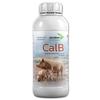 Avishi CalB Calcium Boron Duo for Pigs (1 LTR) Active Calcium for Strong Bones, Better Wound Healing Capacity and Embryonic Development for Piggery view 1
