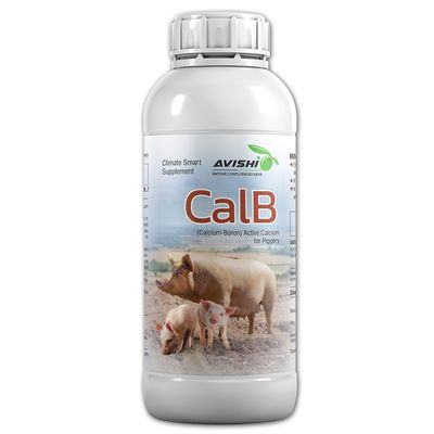 Avishi CalB Calcium Boron Duo for Pigs (500 ML) Active Calcium for Strong Bones, Better Wound Healing Capacity and Embryonic Development for Piggery
