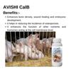 Avishi CalB Calcium Boron Duo for Pigs (500 ML) Active Calcium for Strong Bones, Better Wound Healing Capacity and Embryonic Development for Piggery view 2