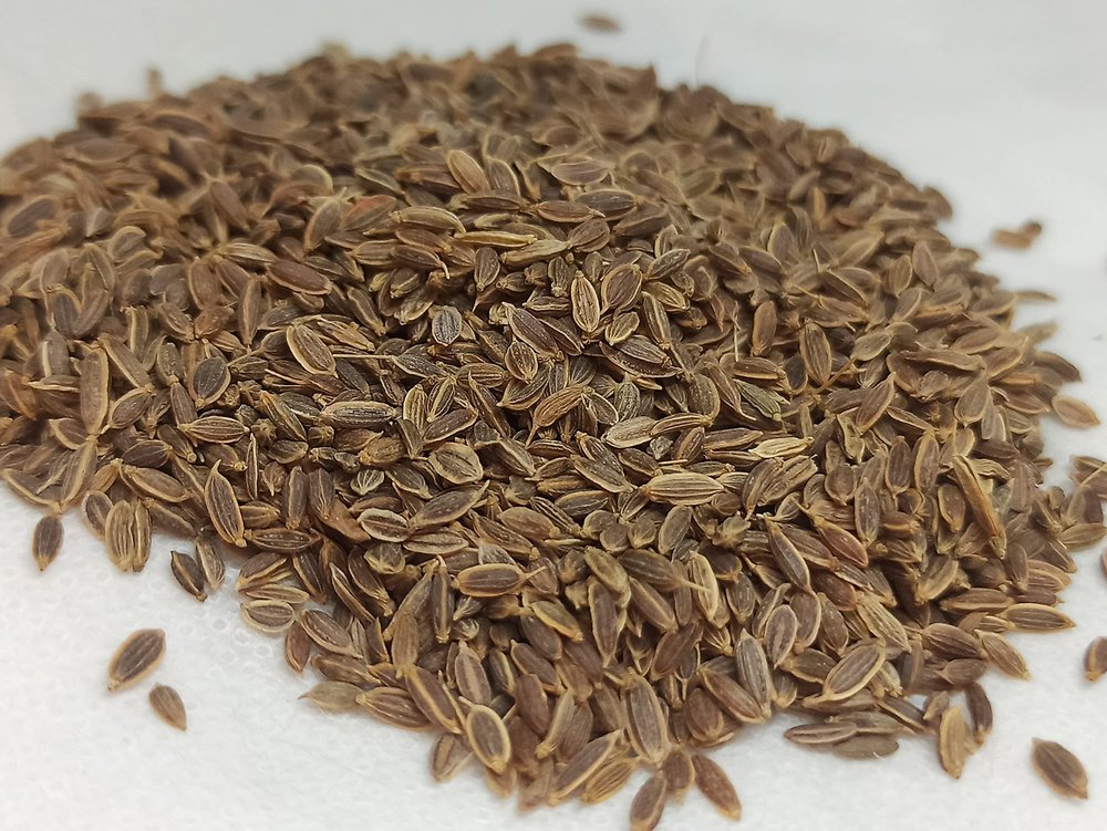 NATURALIFE'S-*SATHA KUPPAI*- I Sathakuppai I Dill I Anethum Sowa I Soyo I  I Sathakuppa I Chatakuppa I Sadapa Vittulu (250 GRAMS)