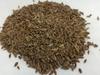 NATURALIFE'S-*SATHA KUPPAI*- I Sathakuppai I Dill I Anethum Sowa I Soyo I  I Sathakuppa I Chatakuppa I Sadapa Vittulu (250 GRAMS) view 3