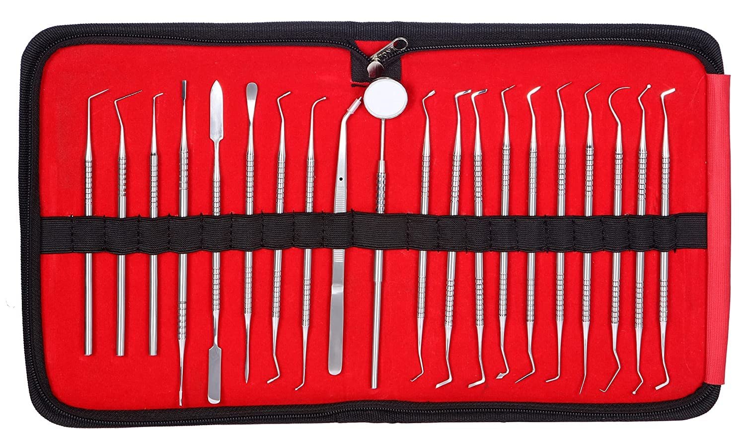 Greta Dental Conservative Instrument Kit of 20 Instruments | Dental Scaler | Dental Kit | Dental Mirror | Conservative Dental Insretments Set (20_Pcs_Conservative_Kit)