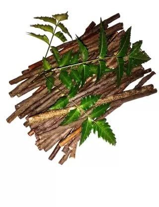 DADFirm Ayurvedic Organic Natural Neem Datun Sticks Tooth Brush- pack of 30-7 inch long (Ayurvetic, Indian Toothbrush) (Medium)