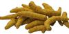 A1 Grade Haldi Ki Ganth,Raw Turmeric Yellow(11 Pc) For pooja,Vivah,Yagyopavit With 1 Assured Gift view 1