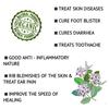 K care - Calotropis Gigantea Root oil/Safed Aak Plant Oil for Joint Pain Relief Ayurvedic oil 250ml Results in 2 day view 2
