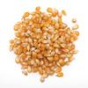 Nutibles Crunchy Popcorn Kernels: 250g Pack - Gourmet Popping Corn for Perfect Snacking - Non-GMO, Gluten-Free, and Deliciously Crunchy - Ideal for Movie Nights and Snack Time - Conveniently Packaged for Freshness view 1
