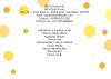 Alla's Posh Flavors White Mould Cheesemaking Kit | Makes about 4kg Brie Camembert Cheeses | Pure Vegetarian Ingredients | Instructions & Support Included (Kit) view 4