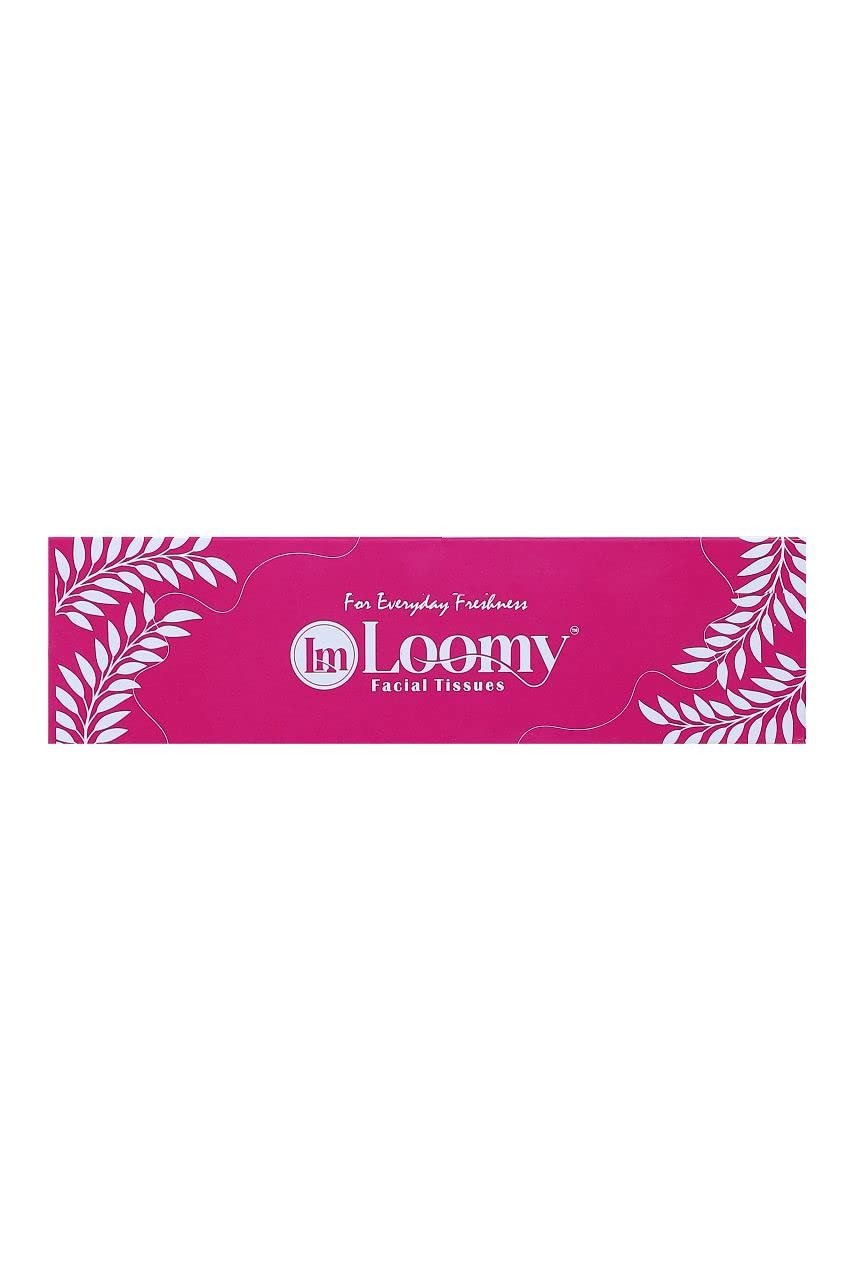 Loomy 2 Ply Soft Facial Tissue Paper 100 Pulls (Pack of 4)