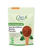 Agrogreen Sea Buckthorn Berries Powder - 100gm Sea Buckthorn Berry Powder - Dry Sea Buckthorn Berries Powder - (100 gm) view 1