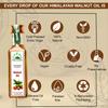 Hillpure Organic Grown by mother nature Hillpure Organic Cold Pressed Himalayan Walnut Oil|Extra Virgin Walnut Oil|Akhrot Tel|100% Pure&Natural Premium Edible Walnut Oil|65 Ml|Pack Of 4 view 4