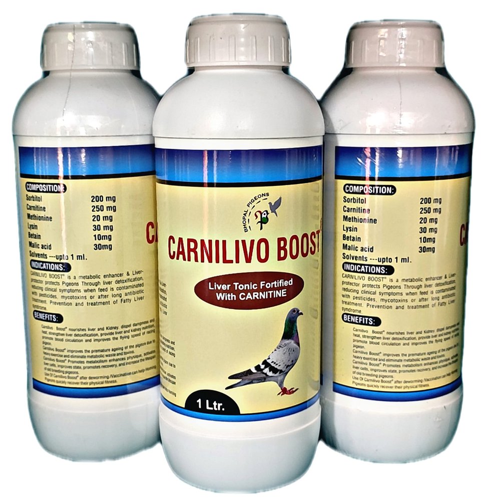 BHOPAL PIGEONS Carnilivo Boost Liver Tonic With Carnitine 1L For Pigeons Health