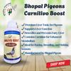 BHOPAL PIGEONS Carnilivo Boost Liver Tonic With Carnitine 1L For Pigeons Health view 2