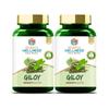 Search Wellness Ayurvedic Giloy (Guduchi) 60 Capsules (Pack of 2) | Herbal Giloy Ghanvati| for Blood Purification | Detoxifies The Body | Enhances Strength & Stamina | Natural Immunity Booster view 1