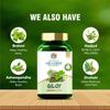 Search Wellness Ayurvedic Giloy (Guduchi) 60 Capsules (Pack of 2) | Herbal Giloy Ghanvati| for Blood Purification | Detoxifies The Body | Enhances Strength & Stamina | Natural Immunity Booster view 4