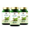 Search Wellness (Guduchi) 60 Capsules (Pack of 3) | Herbal Giloy Ghanvati| for Blood Purification | Detoxifies The Body | Enhances Strength view 1