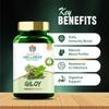 Search Wellness (Guduchi) 60 Capsules (Pack of 3) | Herbal Giloy Ghanvati| for Blood Purification | Detoxifies The Body | Enhances Strength view 2