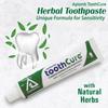 Aplomb Tooth Cure Toothpaste For Daily Sensitivity Protection | Natural Herbal Toothpaste | Maintains Oral Hygiene with Fresh Breath and Strong Teeth (80gm) view 2