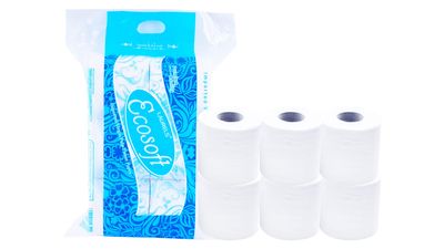 LAURELS EcoSoft Toilet Tissue Paper Roll 320 Pulls 2 Ply 10x10 cms (6 count (Pack of 1))