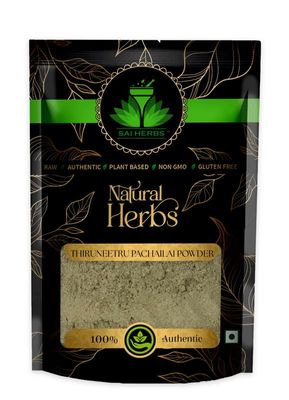 SAI HERBS Thiruneetru Pachailai Powder - Sweet Basil Powder - For Skin Health - Boosts Digestion - Pure & Organic (100 Grams)