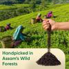 Danodia Foods Organic LYCHEE ORTHODOX ASSAM BLACK TEA (3.5oz/100g) 50+ servings | WILD FOREST Assam Tea Loose Leaf | Aromatic Lychee Flavor | Non GMO Hand-Picked & Home Made | Flavored Black Tea Loose view 3