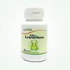 Herbal Leucorrhoea (PCOD) view 1