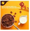 Swechha Choco Lick(250 g) (VE-01) (RCM) view 3