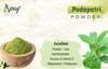 Spag Herbals Podapatri madhunashini Sirukurinjan gurmar gymnema sylvestre gudmar gymnema sylvestre 300grms Pack of 1 For diabetes blood suger management powder view 2