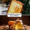 Healthy Roots Kashmiri White Honey - 500g of Pure, Raw, and Organic Honey view 2