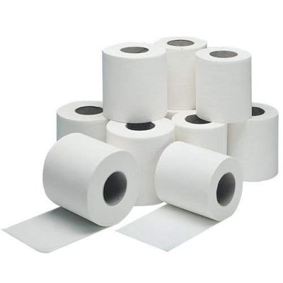 2 Ply Toilet Paper Roll(Pack Of 10)