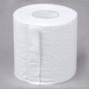 2 Ply Toilet Paper Roll(Pack Of 10) view 4