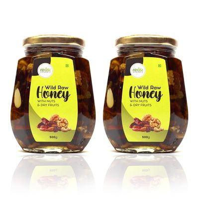 Feast Organic Wild Honey with mix Dry Fruits & Nuts | No Added Sugar | Pure and Natural Dry Fruits & Nuts mixed with Organic Honey raw 500gram | Glass Jar Combo pack 500gm each (500g x 2) 1 kg