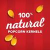 HASITAM Movie Theatre Popcorn Kernels (20g) view 3