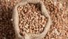 A D Food & Herbs Buckwheat Kuttu Giri Buckwheat Seed Groat Kasha Gluten Free (250 Gms) view 3