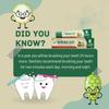 Kapila Noni Family Toothpaste 100 gm | Noni Mixed with Babul | Complete Dental Care for Adults Children Teeths view 4