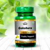 Cipzer Guduchi Capsule Pure Ayurvedic Herbs helps to increase platelet levels in the blood manage fever occurring due to malaria, dengue and swine flu 60 Capsule (Pack of 1) view 1