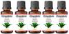 La Aromatic Kewra Flavour Culinary Essence-30 ml -Pack of 5 view 1