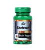 Cipzer Shatavari Capsules Ayurvedic Women Wellness Capsule for Hormonal Balance Restore Stamina, Strength and Energy 60 Capsules (Pack of 1) view 1
